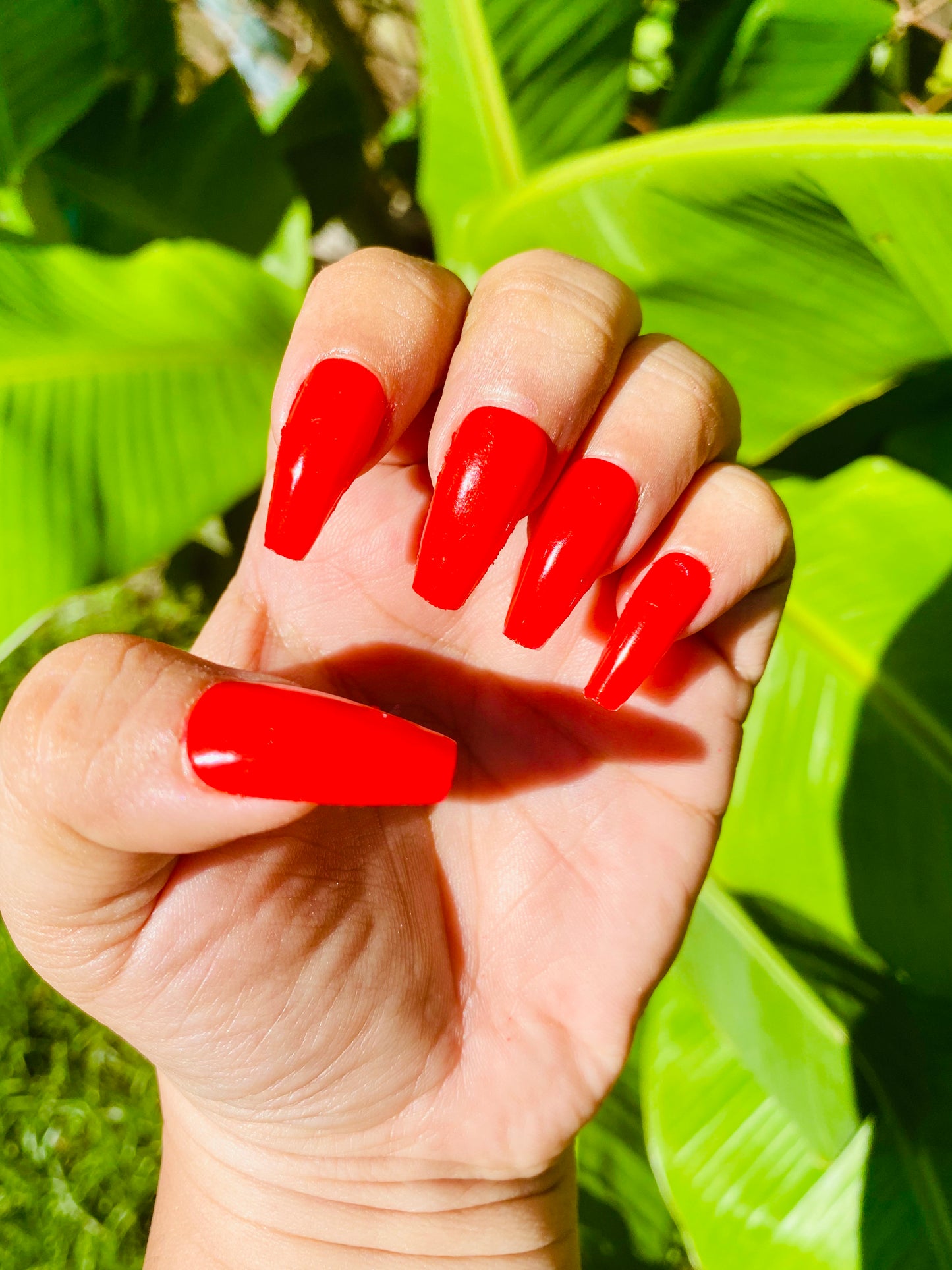 Passport Polish Custom Press Ons